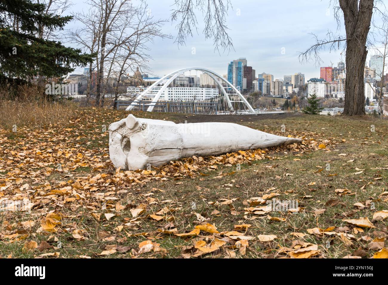 Edmontons indigenous art park hi-res stock photography and images - Alamy
