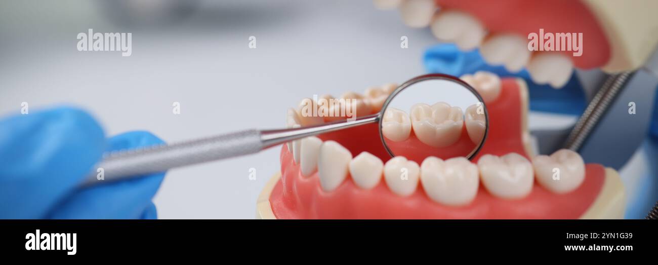 Dentist using teeth model hi-res stock photography and images - Alamy