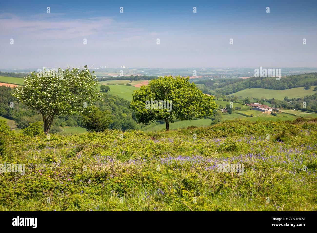 UK, England, Somerset, Quantocks, Cothelstone Hill, view towards ...