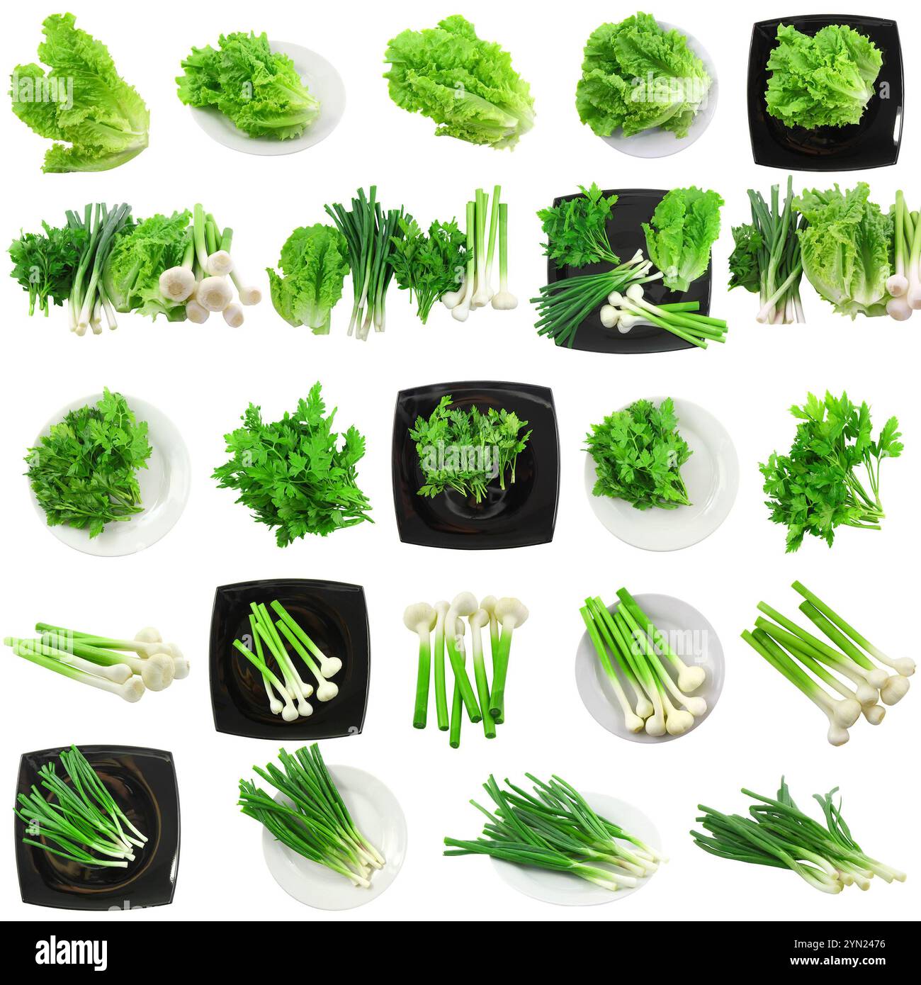 Set young vegetable onion garlic hi-res stock photography and images - Alamy, image size:1300x1390