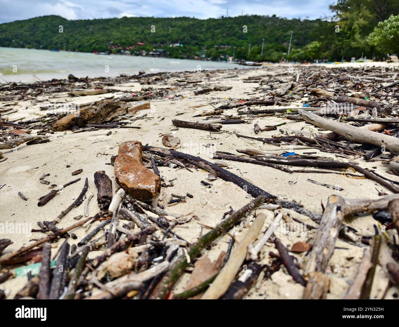 A beach heavily littered with wood and plastic Stock Photo - Alamy
