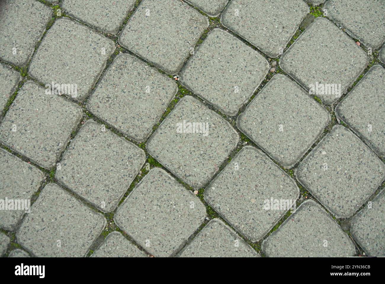 Visual Reference: Textured Cobblestone Pavement With Greenery At The Seams In Urban