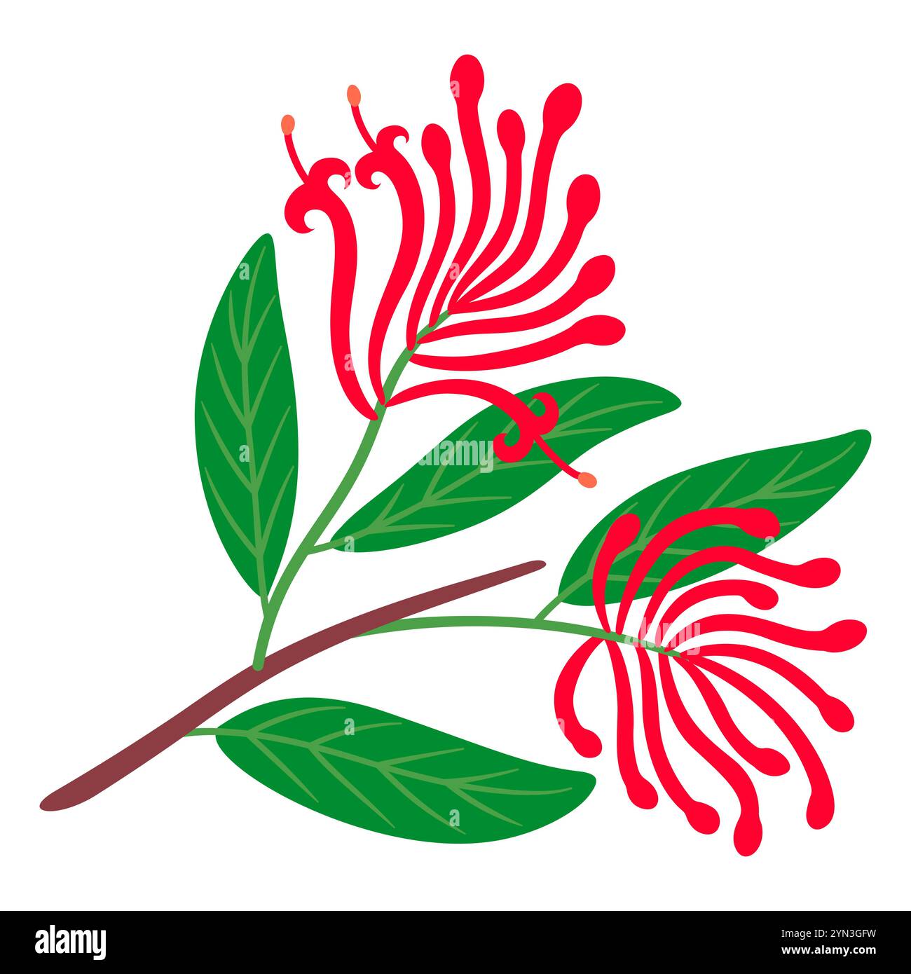 Notro (Chilean firetree, Chilean firebush). Tree branch with leaves and red flowers. Simple vector clip art illustration. Stock Vector