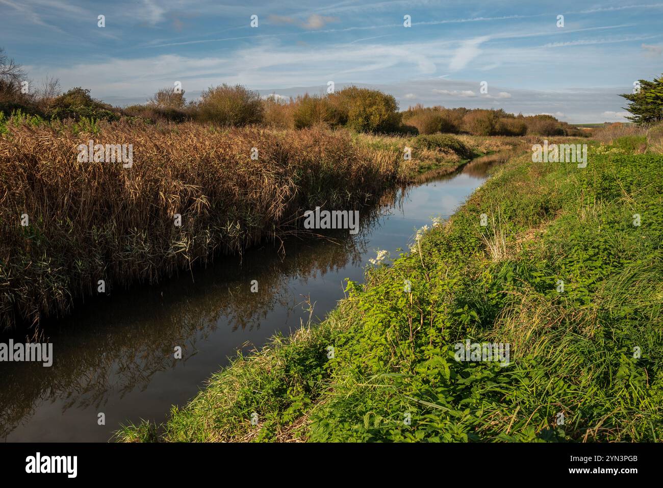 Ferring rife hi-res stock photography and images - Alamy