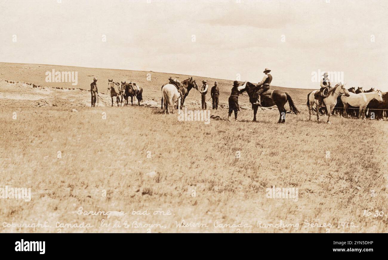 History of ranching hi-res stock photography and images - Alamy