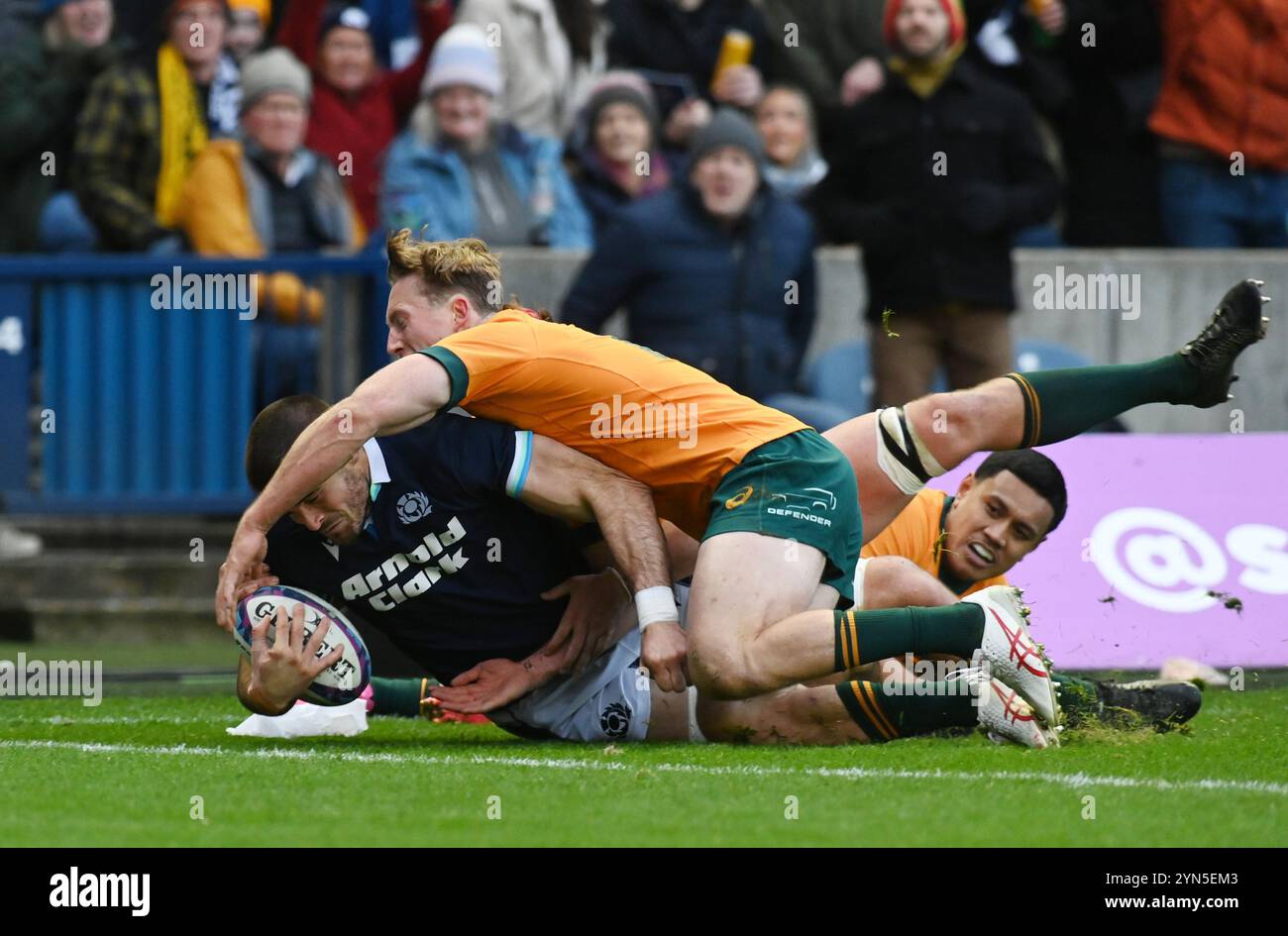 Scottish Gas Murrayfield .Edinburgh Scotland UK 24th November 24 AUTUMN TESTS 2024/25 Scotland's match against Australia Josh Bayliss of Scotland goes over for his try v Australia Credit: eric mccowat/Alamy Live News Stock Photo