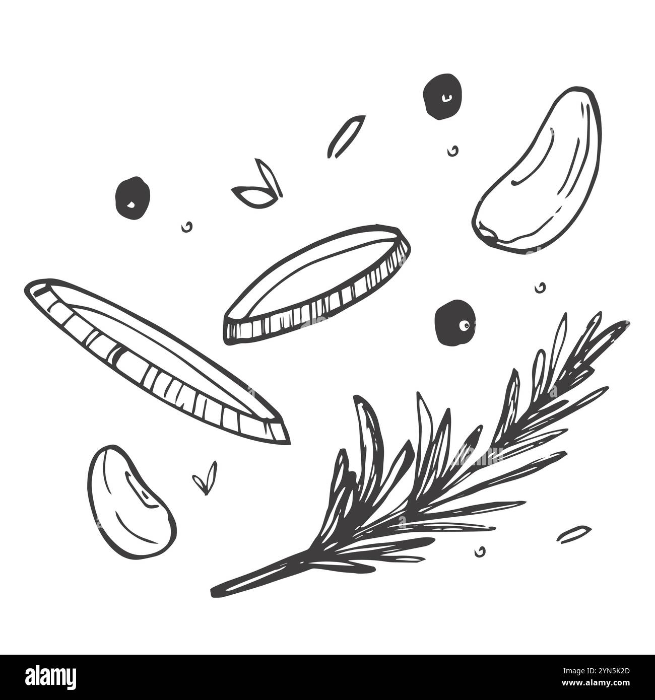 Falling garlic with herbs and spices. Cooking spicy food concept. Drawn engraved vector illustration Stock Vector