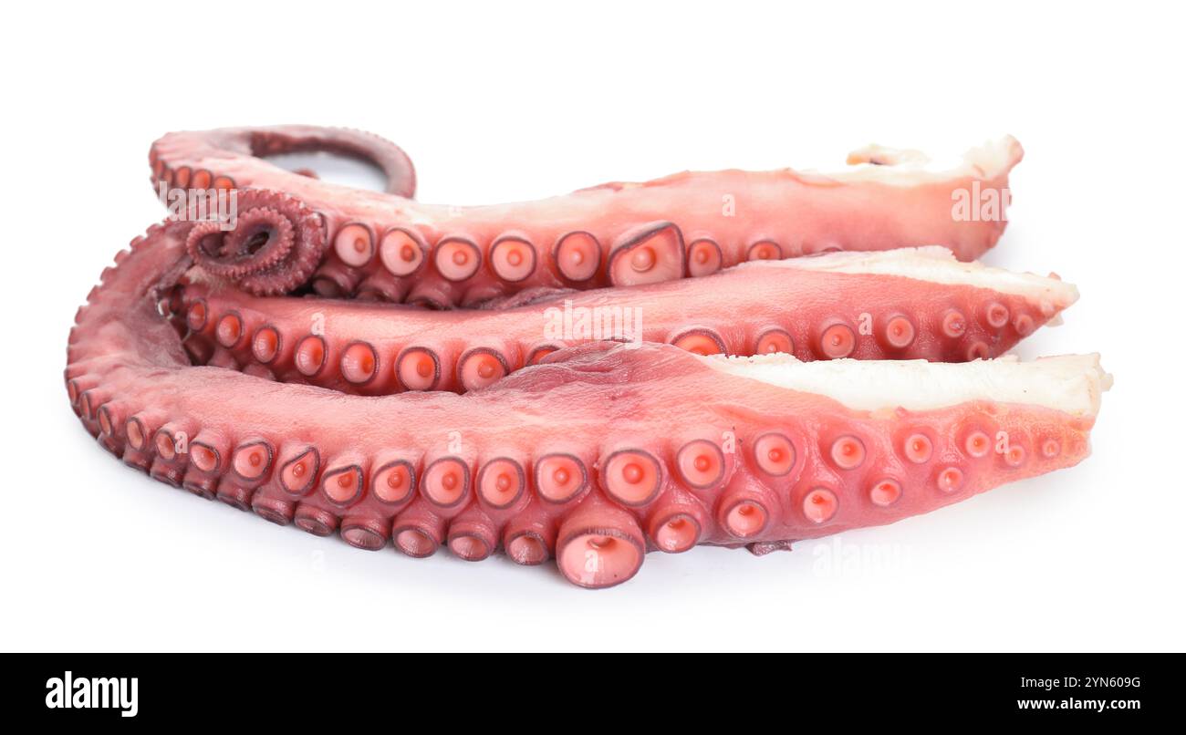 Three raw octopus tentacles isolated on white Stock Photo - Alamy