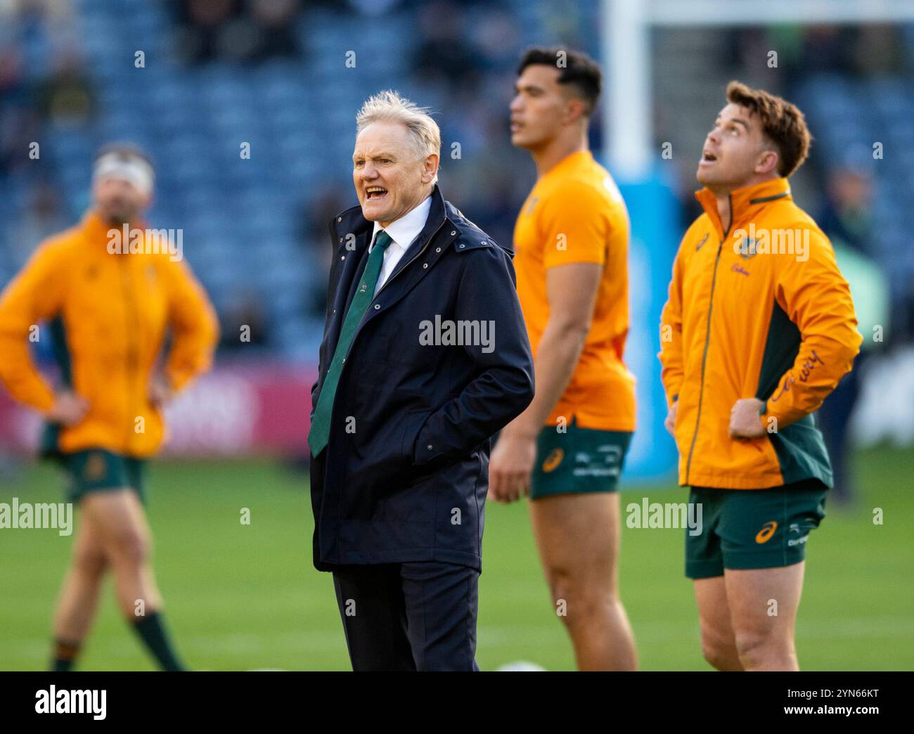 Autumn Series: Scotland v, Australia. 24th Nov, 2024. Australia head coach, Joe Schmidt, as Scotland take on Australia in their 4th and last game of the 2024 Autumn Series at Scottish Gas Murrayfield, Edinburgh, UK Credit: Ian Jacobs/Alamy Live News Stock Photo