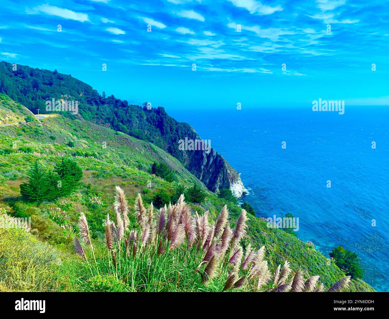 Coastal California at Pfeiffer State Beach and McWay Falls, Big Sur - Smartphone Captured Stock Image