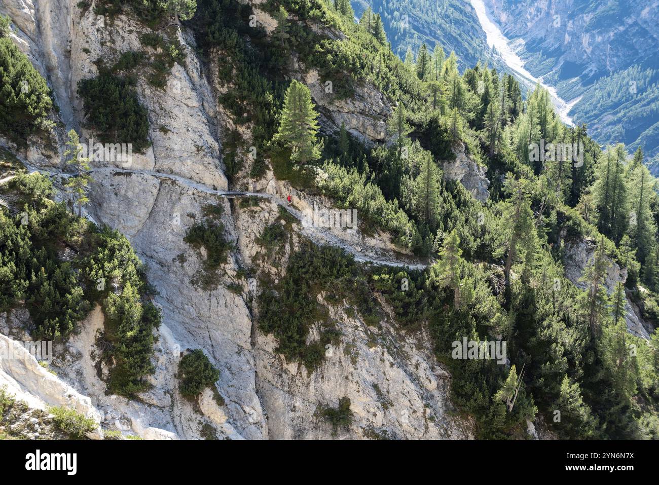 Rienz Hiking through fragile limestone rock in the Rienz valley of South ...