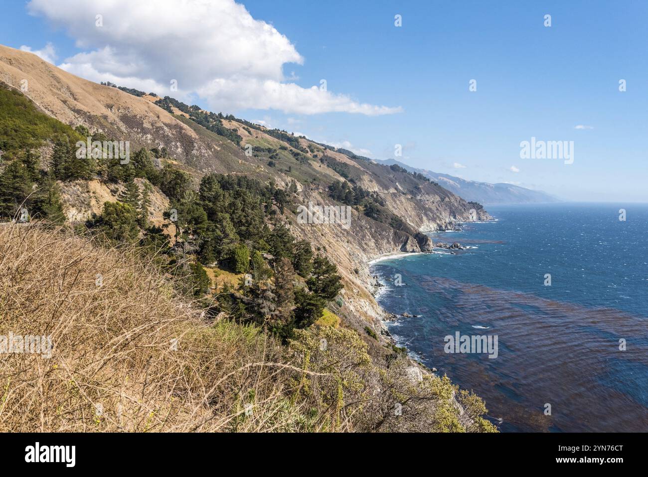 Scenic pacific coast at the Big Sur Highway No 1 in California, USA ...