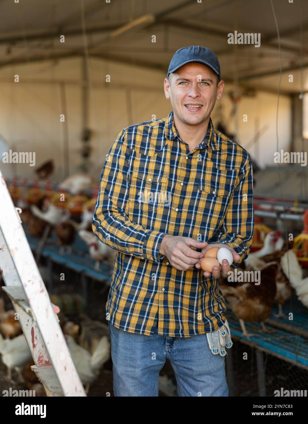 Portrait of man farmer holding eggs in hands in henhouse Stock Photo ...