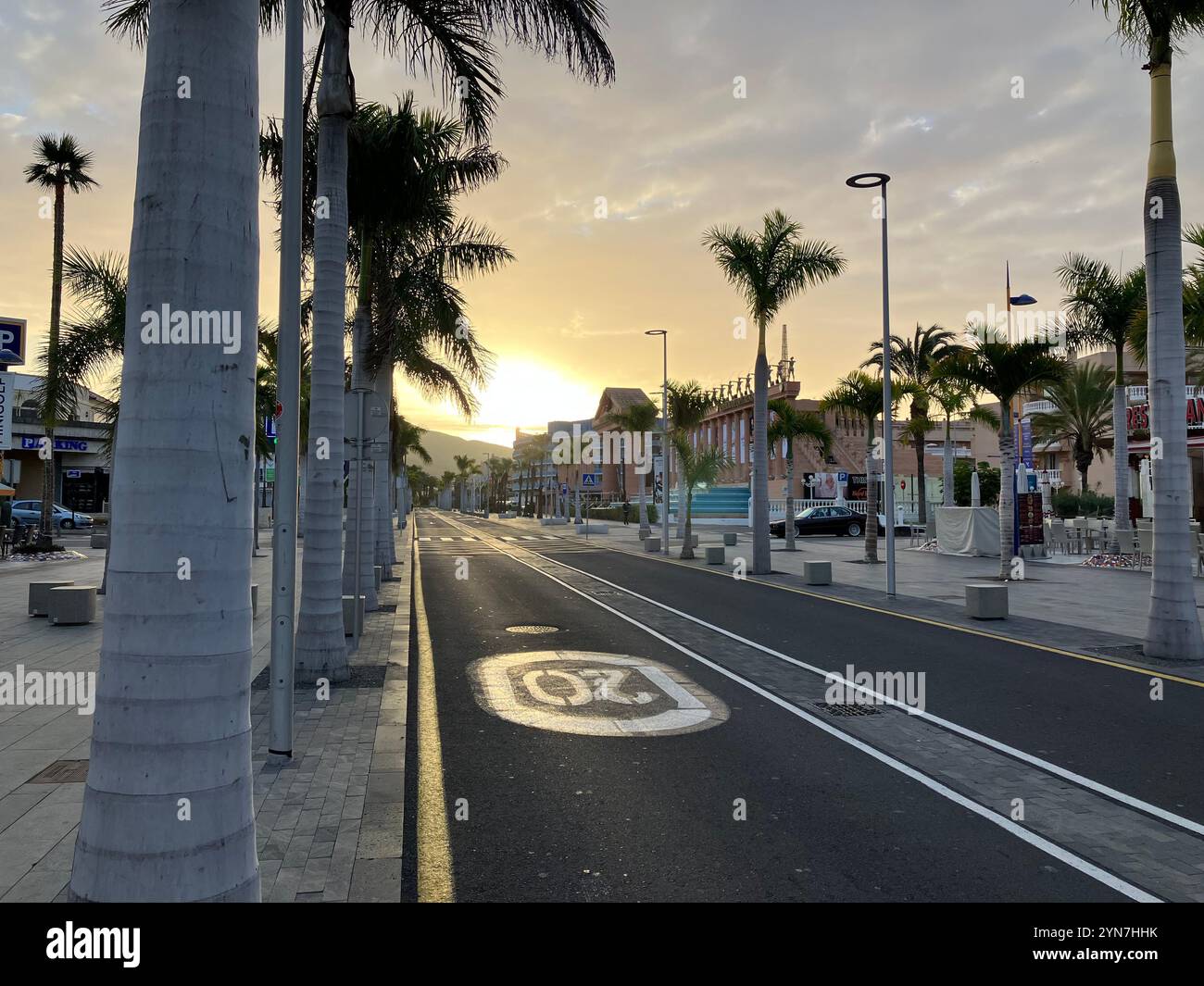 Palm Trees at Sunrise on the Golden Mile in Playa de las Américas. Arona, Tenerife, Canary Islands, Spain. 4th February 2023. - Smartphone Captured Stock Image