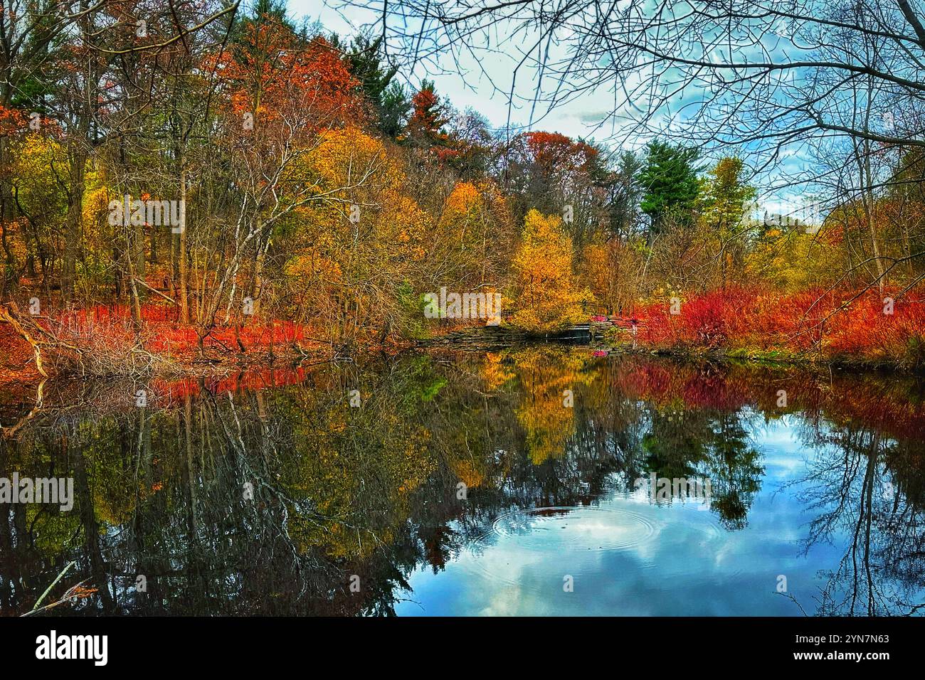 High Park - Toronto city - Autumn beauty - Smartphone Captured Stock Image