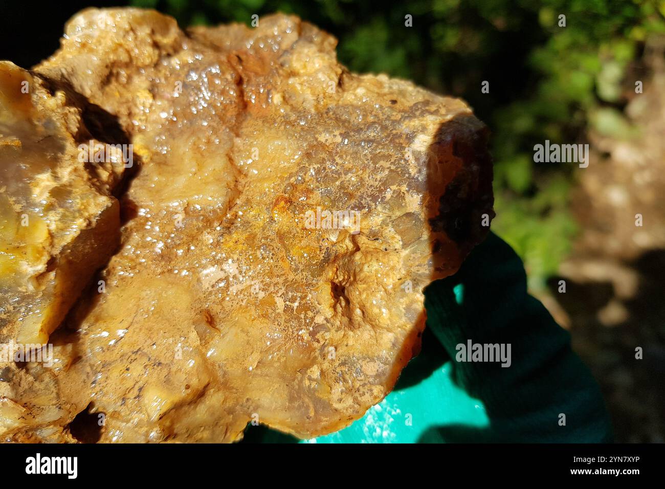 Bumpy surface hi-res stock photography and images - Alamy