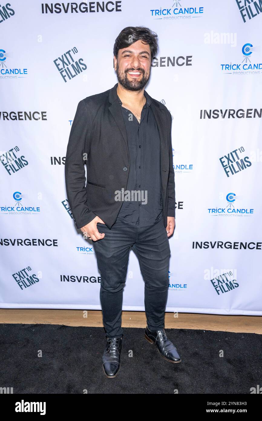 Victor Sy Los Angeles, United States. 12th Nov, 2024. Actor Victor Sally attends ...