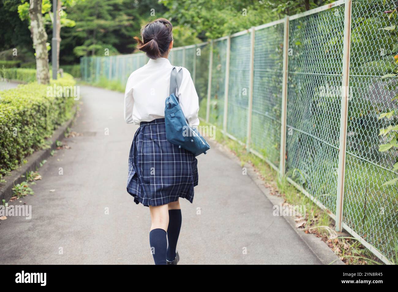 Back view of schoolgirl in uniform walking on the road Stock Photo - Alamy