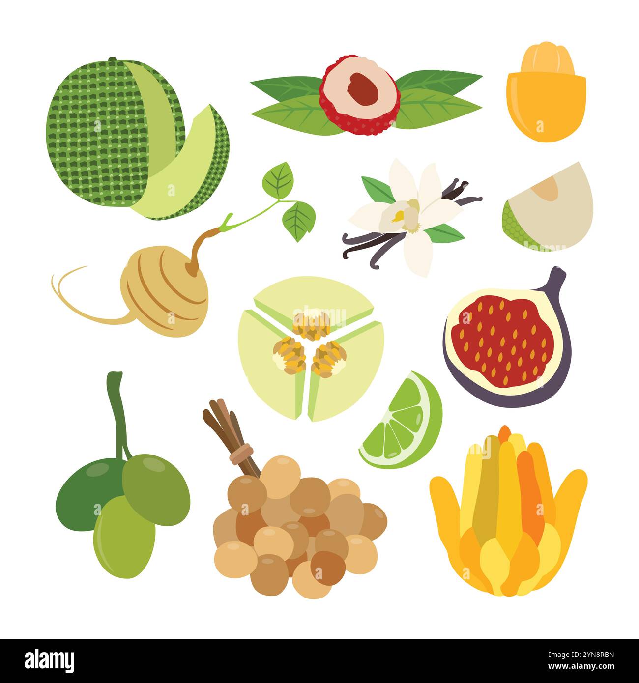 A Diverse Selection of Delicious Fresh Fruits Stock Vector