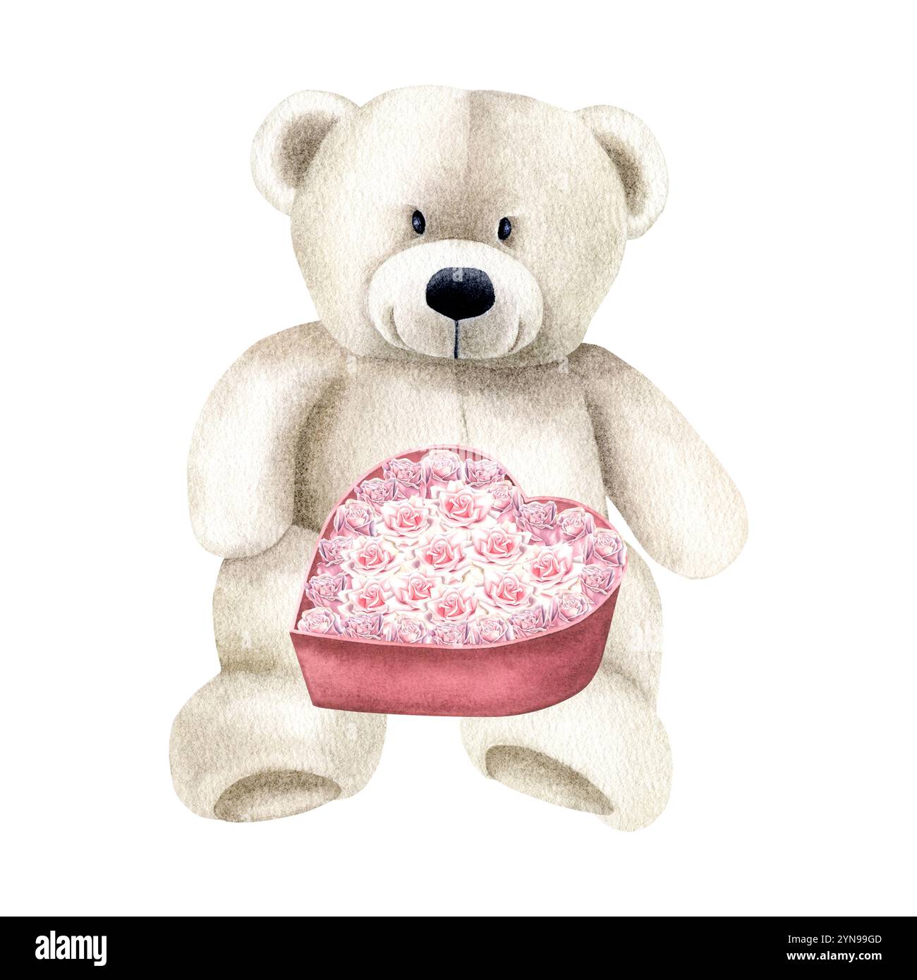White teddy bear holding heart shaped gift box with dusty pink roses ...