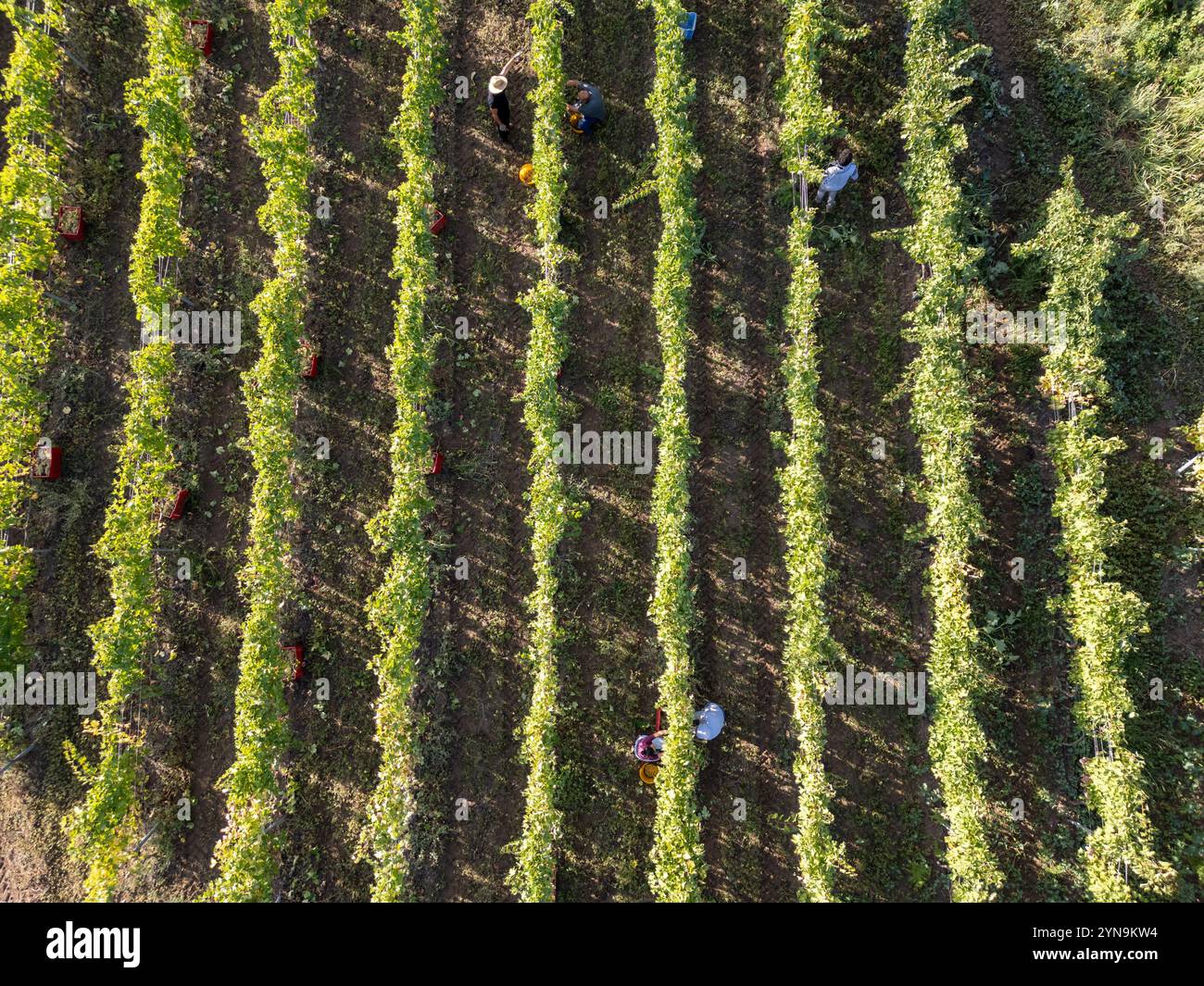 Aerial top down shot workers hi-res stock photography and images - Alamy