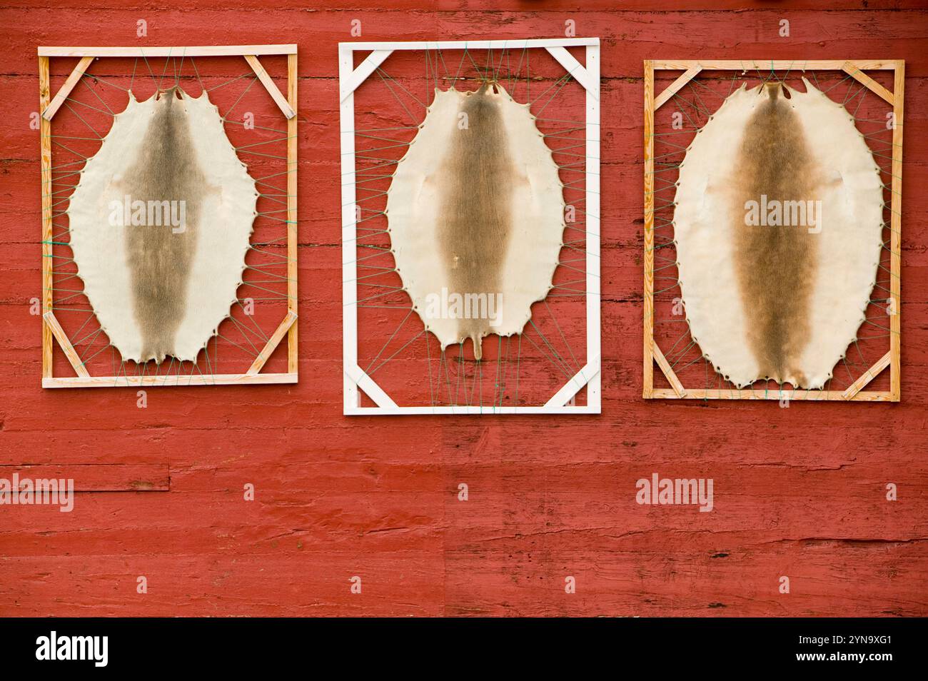 Climate change in Greenland. Stock Photo