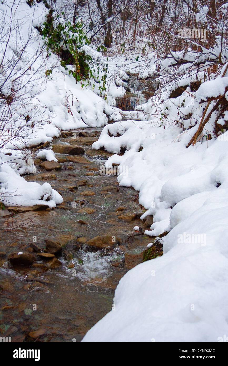 Creek In Snow Covered Forest Hi res Stock Photography And Images Alamy