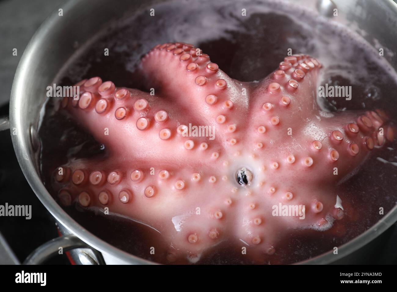Octopus tentacles boiling in hi-res stock photography and images - Alamy