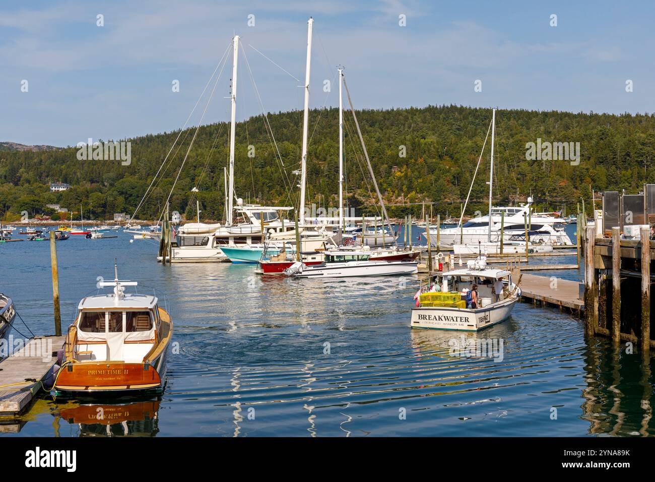 United States, Maine, Bar Harbor, Northeast Harbor, the port and its fishing and pleasure boats and its sailboats Stock Photo