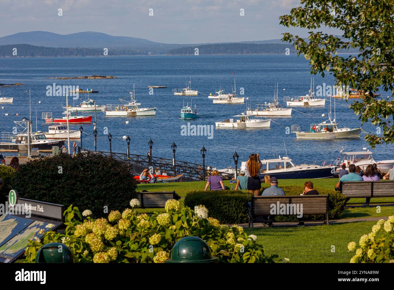 United States, Maine, Bar Harbor, Agamont Park, view of the boats in the harbor Stock Photo
