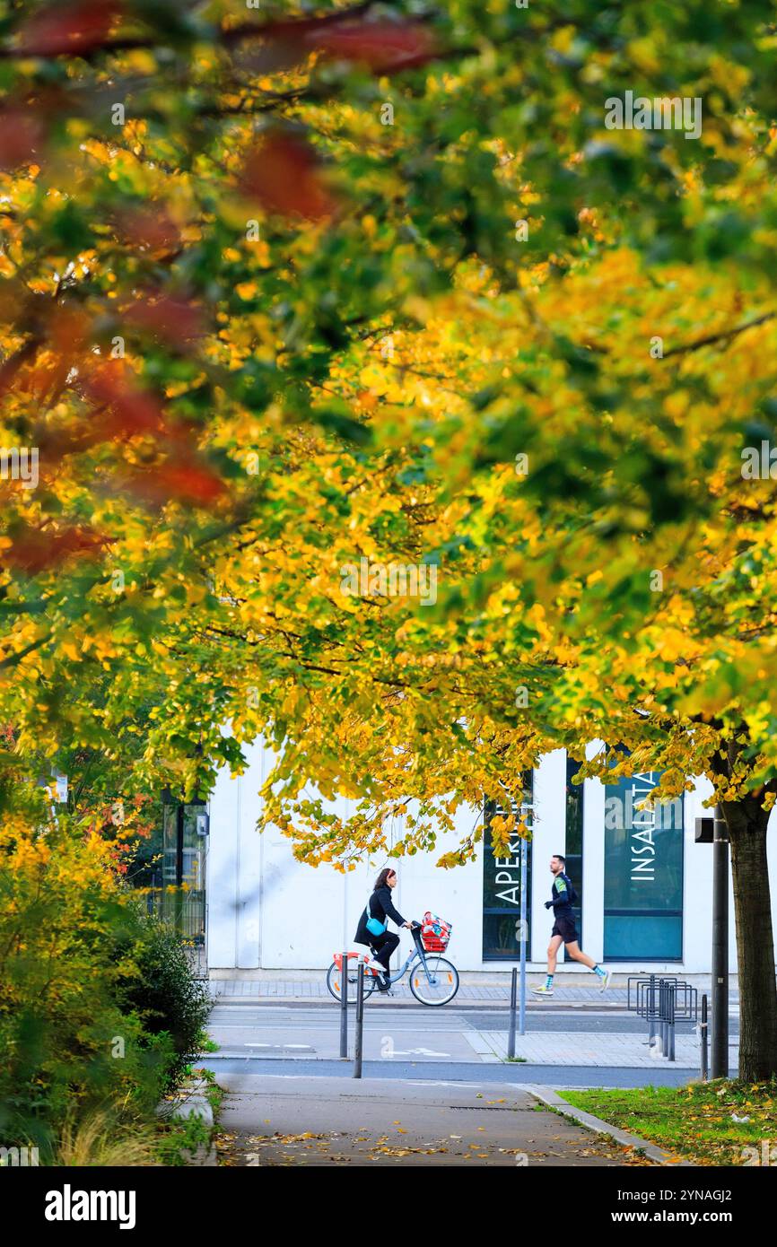 France, Rhone (69), Lyon, Quartier Gerland, Av Tony Garnier Stock Photo
