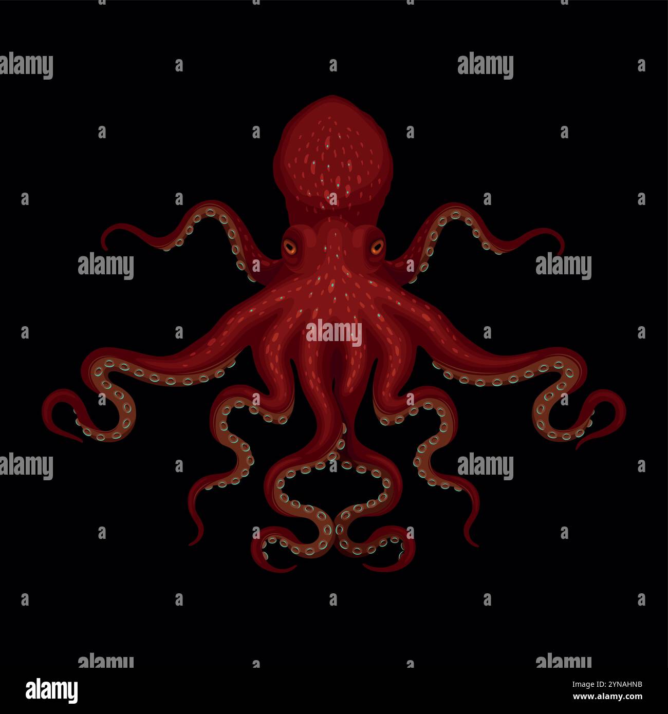 Illustration of octopus hi-res stock photography and images - Alamy