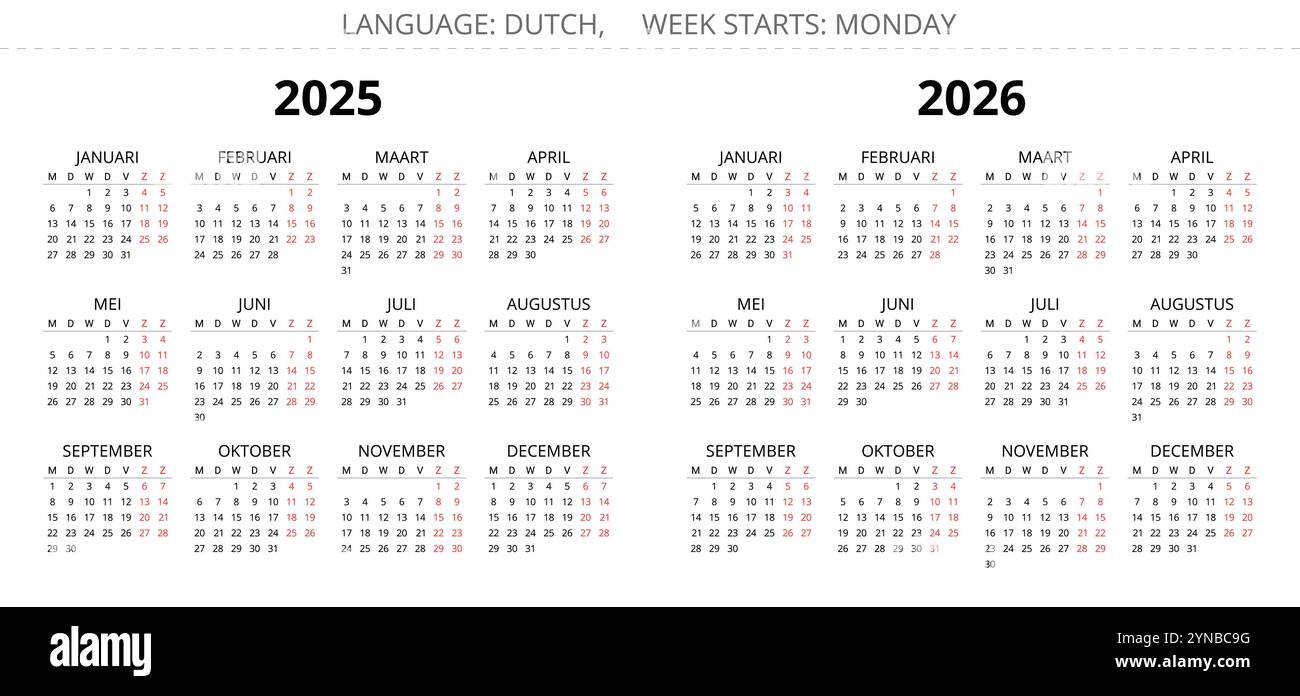 2025 and 2026 dutch calendars. Vector illustration for Dutch. 12 months