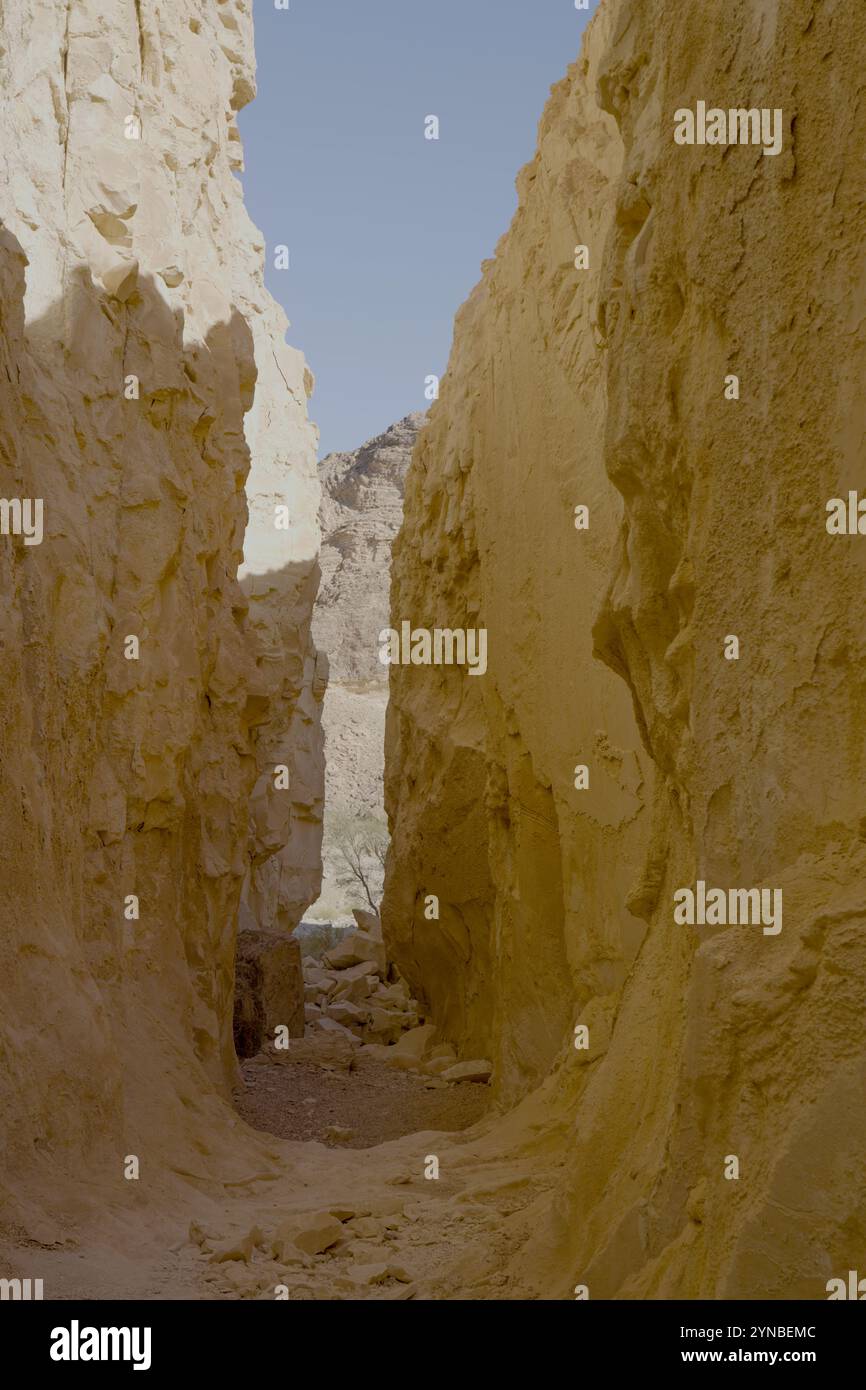 WHAT IS THE NEGEV intelligence overview