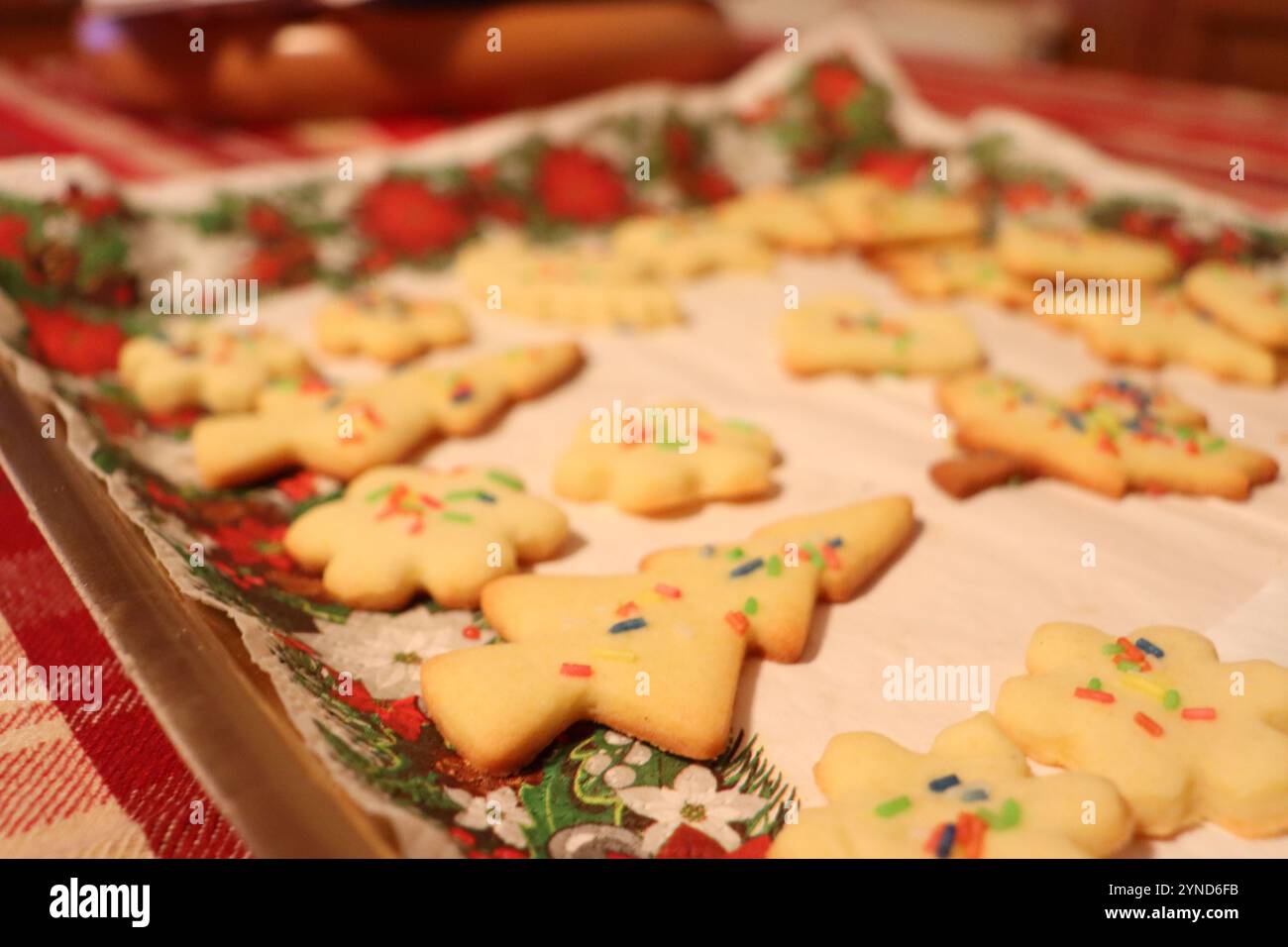 Stampo Biscotti Natale Con Scritta Buon Natale - Acrilico Alimentare Per Dolci Festivi - Foto 8