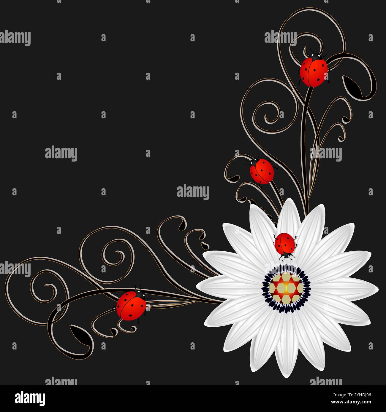 Corner with abstract daisy a red ladybugs on a black background. Stock Vector