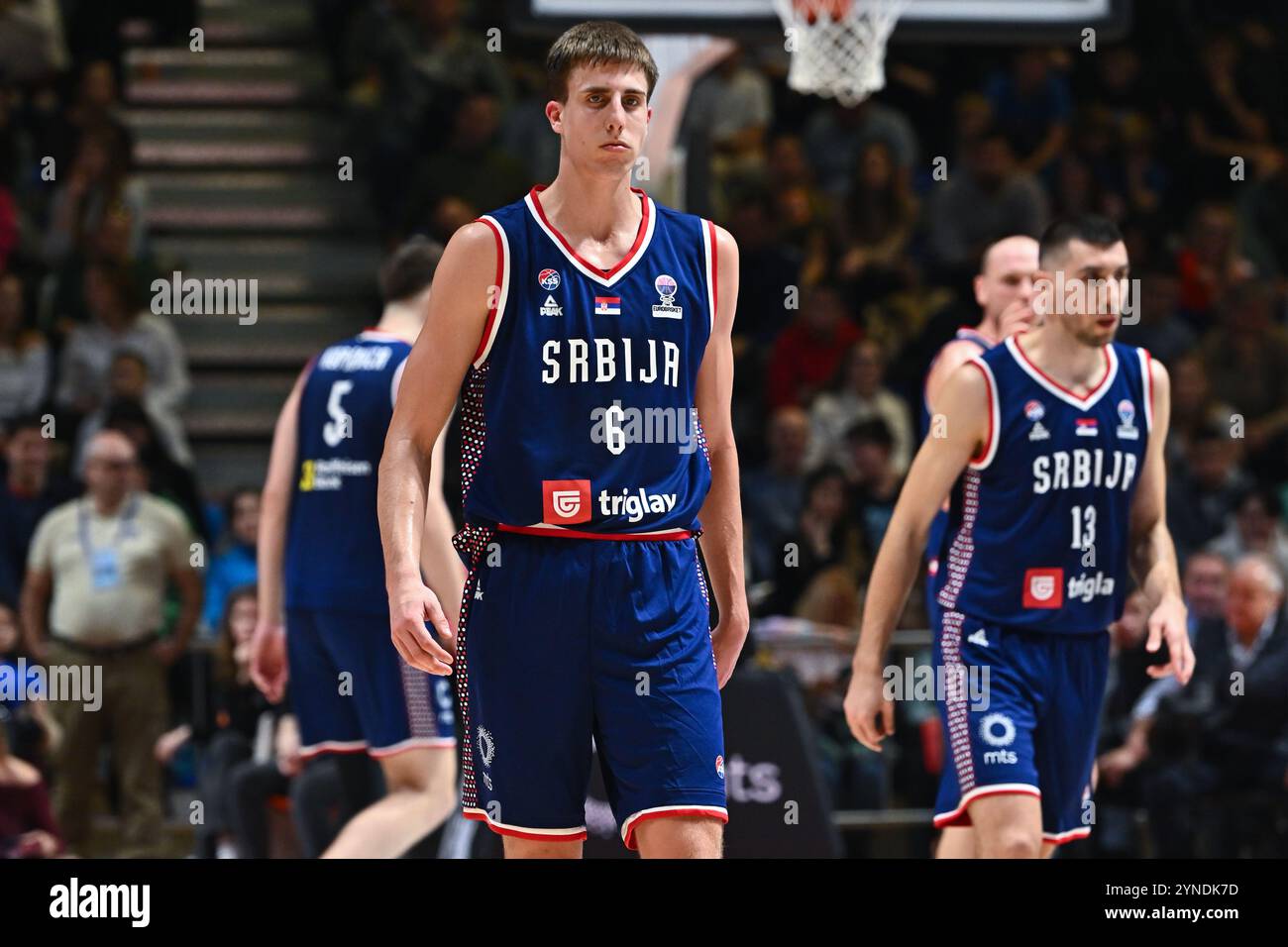 Belgrade, Serbia, 24 November, 2024. Bogoljub Markovic of Serbia reacts during the FIBA Eurobasket 2025 Qualifier match between Serbia and Denmark at Aleksandar Nikolic Hall in Belgrade, Serbia. November 24, 2024. Credit: Nikola Krstic/Alamy Stock Photo