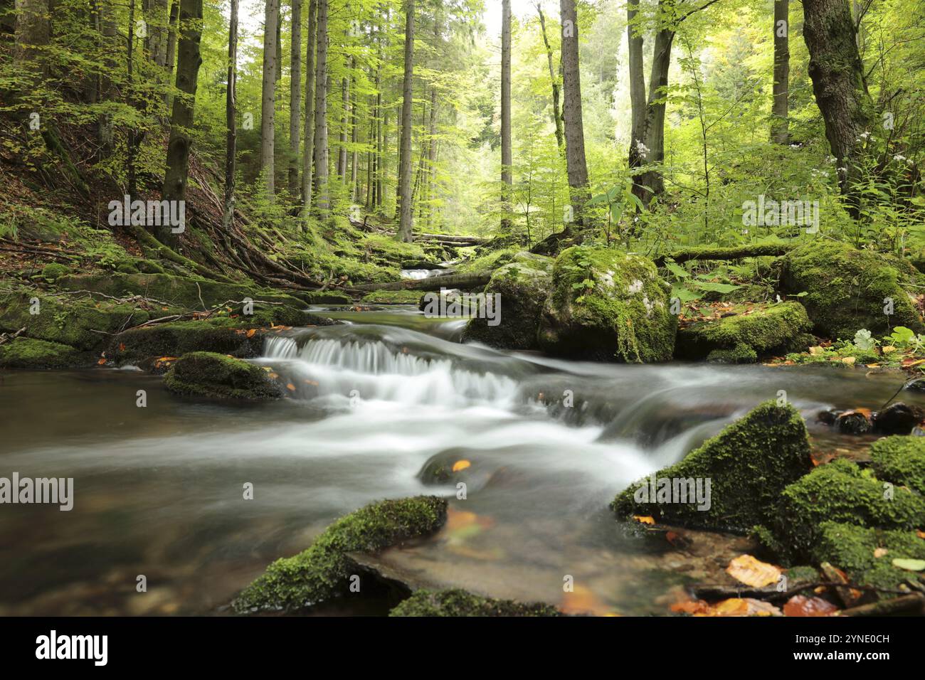 Water flowing from mountains hi-res stock photography and images - Alamy