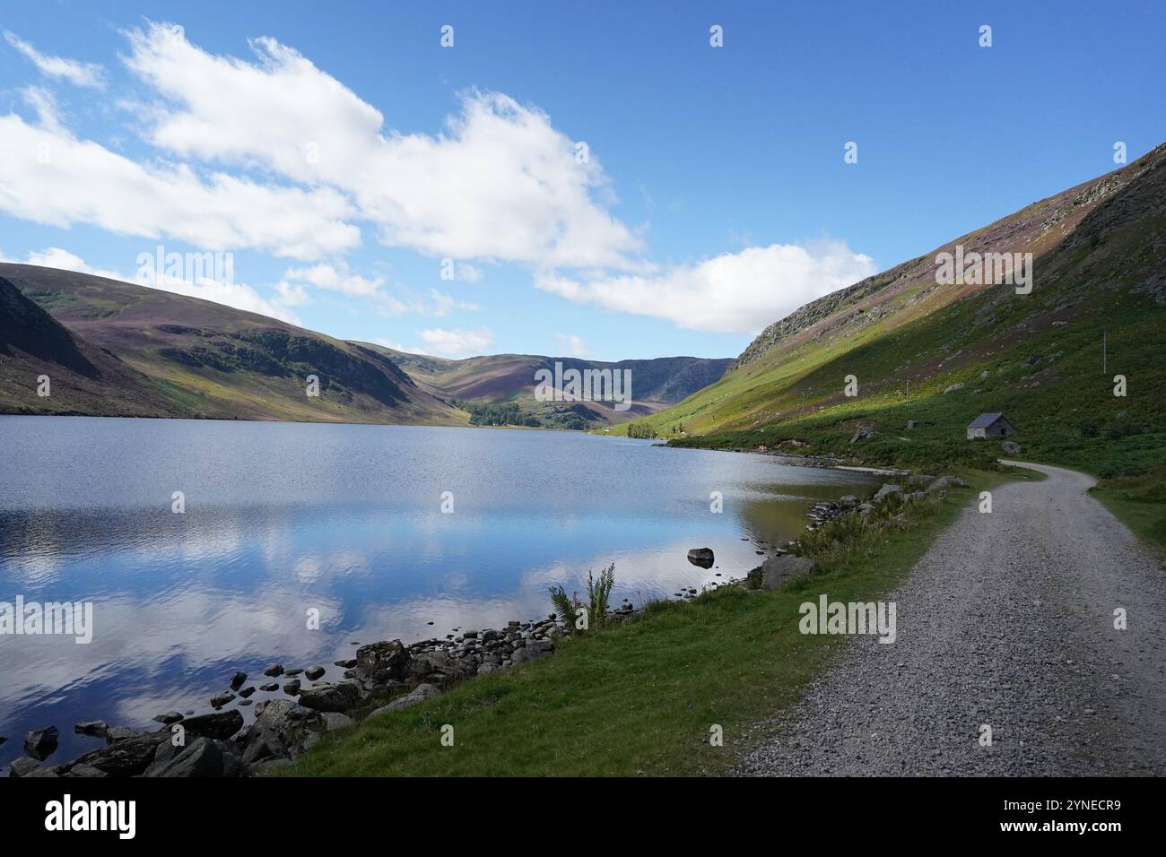 Loch Lee on a sunny day Stock Photo