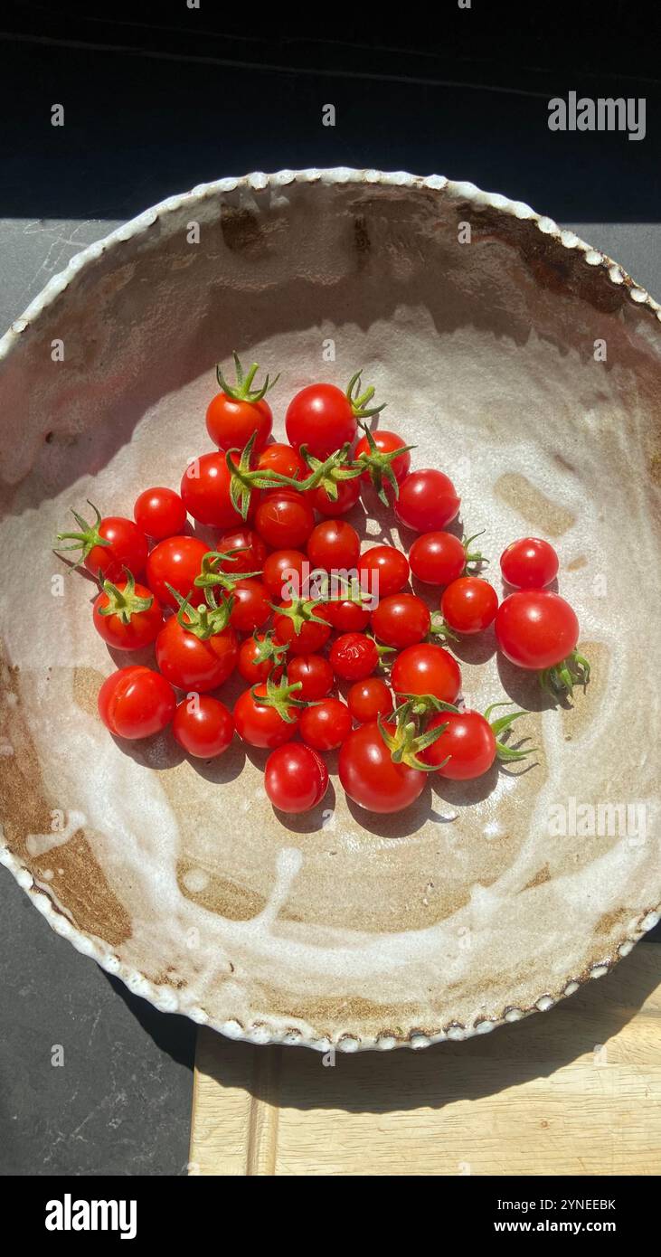 Small sweet cherry tomatoes fresh from the garden in a beautiful handmade ceramics bowl. - Smartphone Captured Stock Image