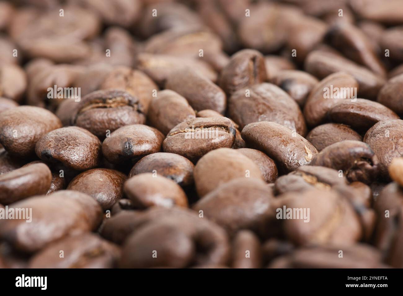 Roasted coffee beans as a background. Macro photo of coffee Stock Photo ...