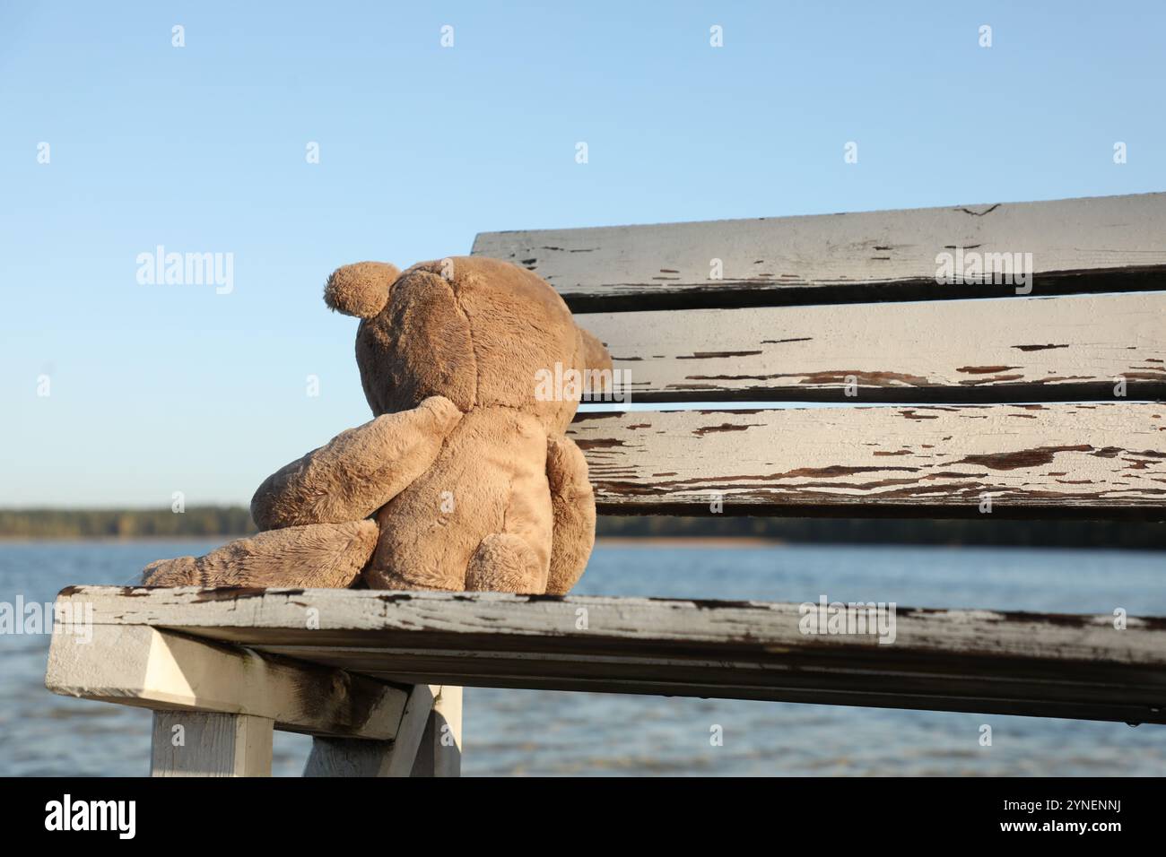 Lonely teddy bear on bench near river Stock Photo - Alamy
