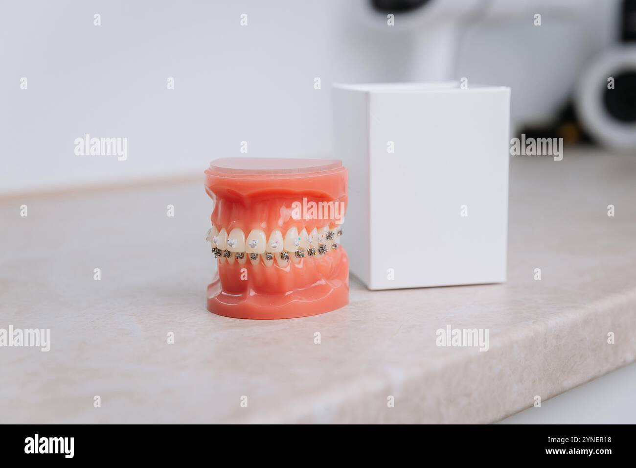 Orthodontic dental model with braces for patient education and ...