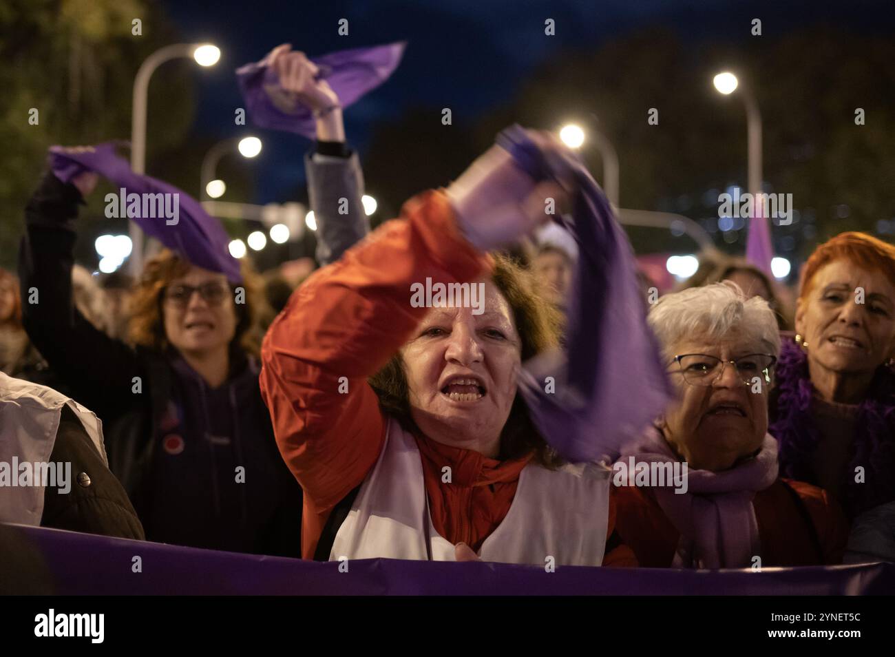 Madrid, Spain. 25th Nov, 2024. Women protesting during a demonstration for the International Day for the elimination of violence against women. Credit: Marcos del Mazo/Alamy Live News Stock Photo