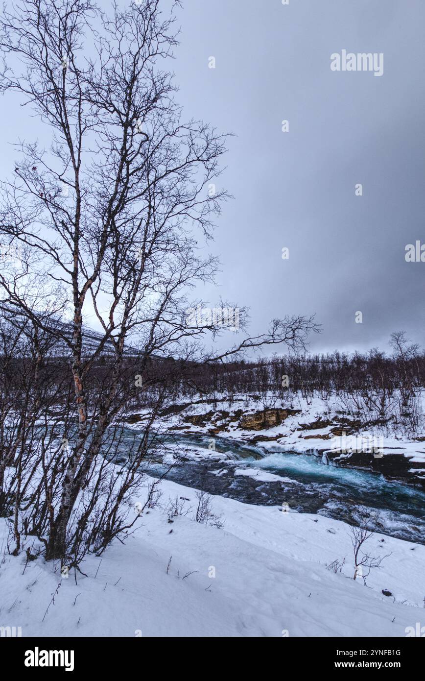 ABISKO NATIONAL PARK visual data 7