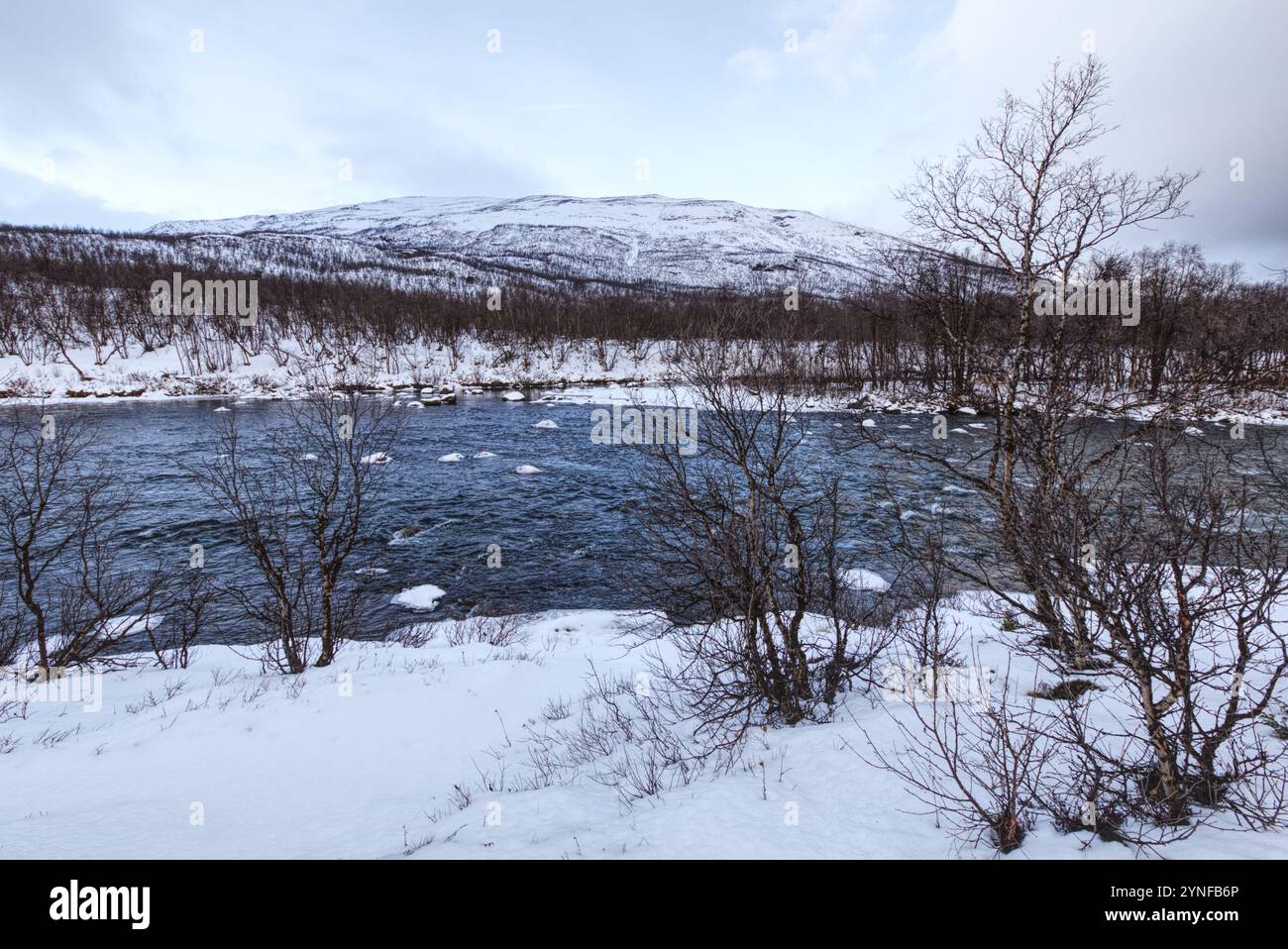 ABISKO NATIONAL PARK intelligence overview