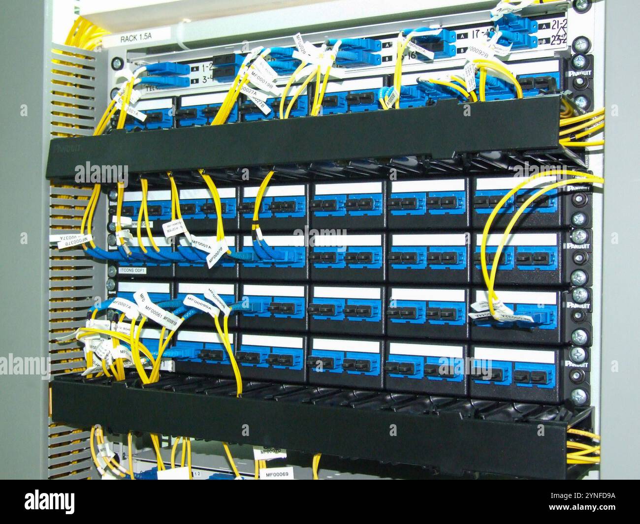 A network distribution panel showcases organized fiber optic connections. Several cables are securely attached, ensuring efficient data transmission i Stock Photo