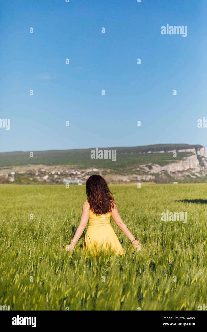 Through The Fields Dress - Dust main image 0