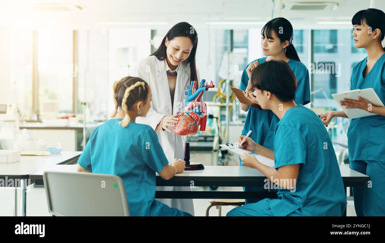 Training model students studying medicine hi-res stock photography and ...