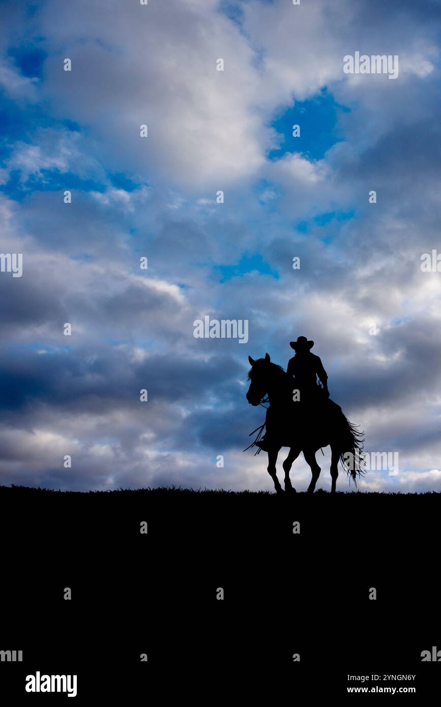 Cowboy old west historical hi-res stock photography and images - Alamy